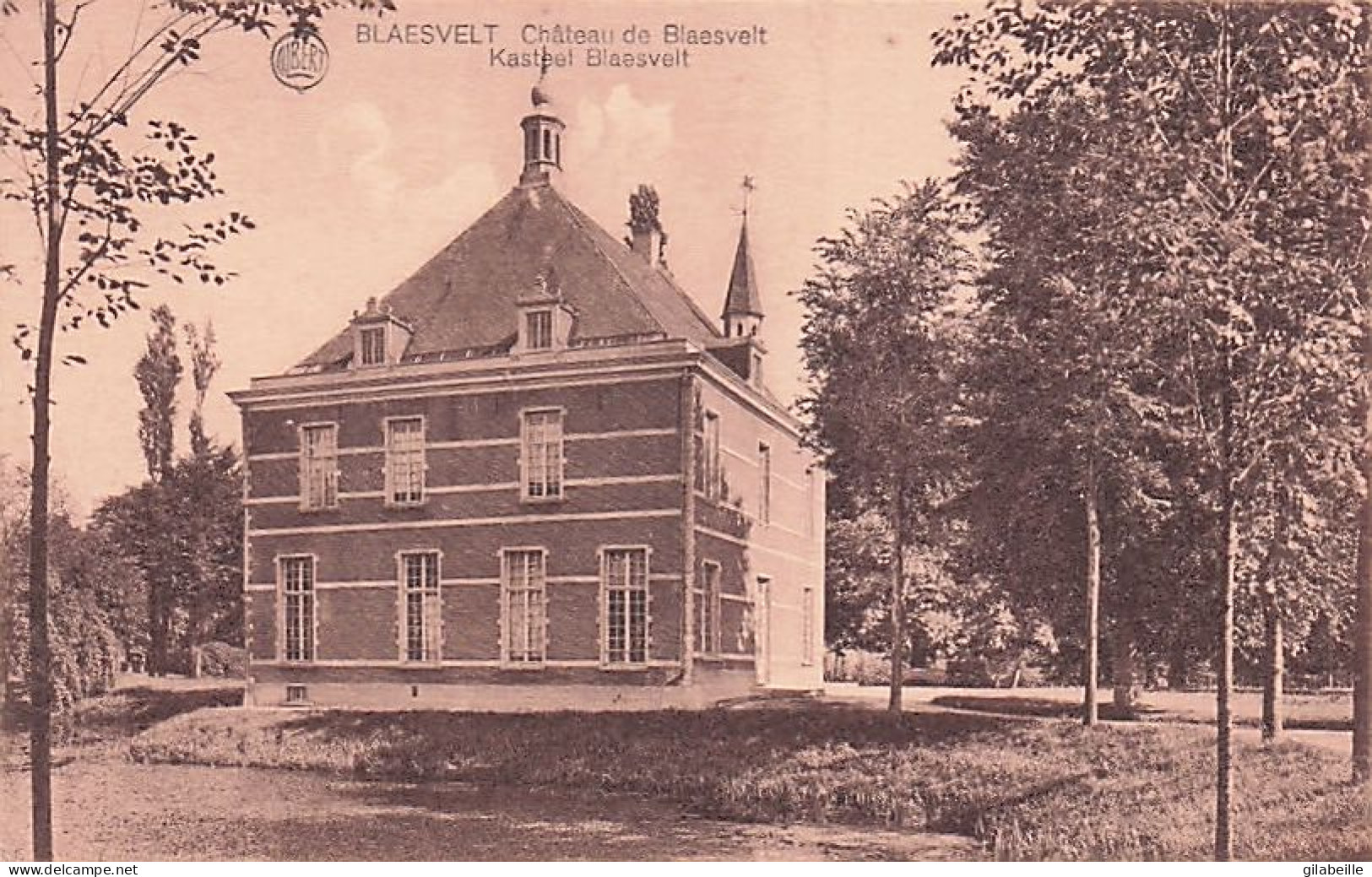 Willebroek - BLAASVELD - Château De Blaesvelt - Kasteel Blaesvelt - Willebroek