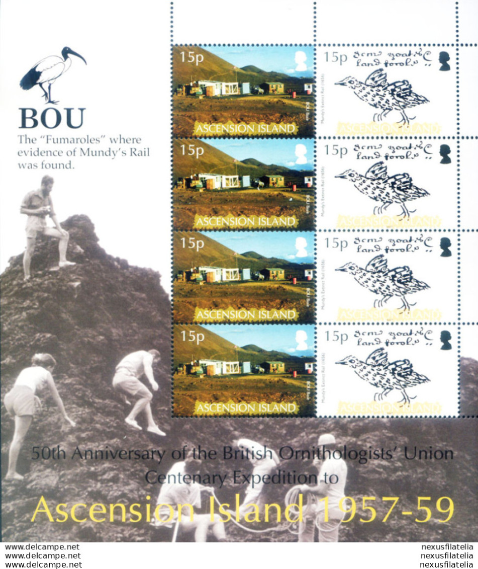 Spedizione Dell'Unione Ornitologica Britannica 2007. - Ascension (Ile De L')