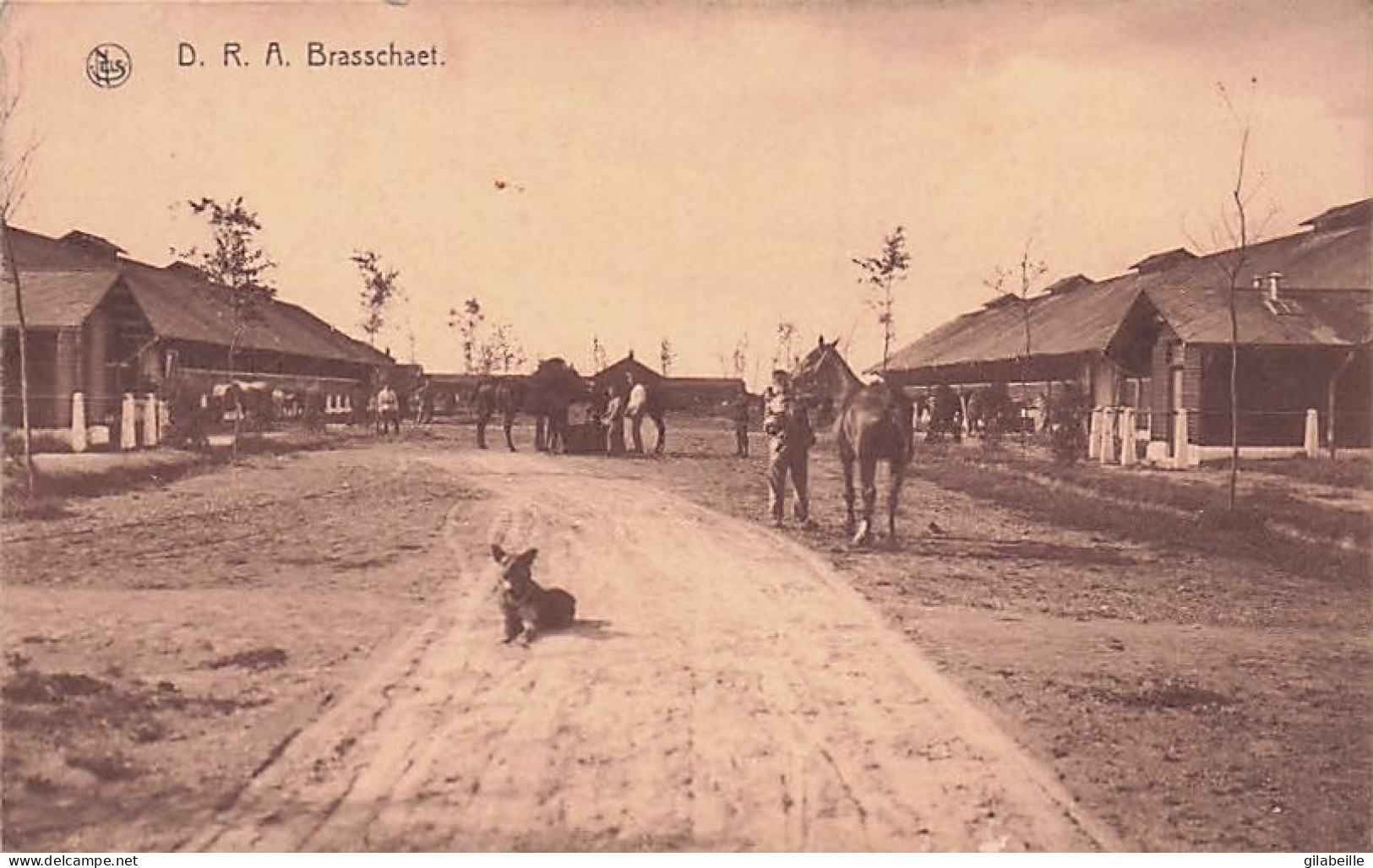 BRASSCHAAT - BRASSCHAET - D.R.A - La Caserne - Kazerne - Brasschaat