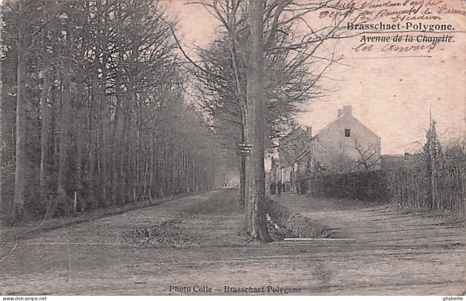 BRASSCHAAT - BRASSCHAET - POLYGONE -  Avenue De La Chapelle - 1922 - Brasschaat