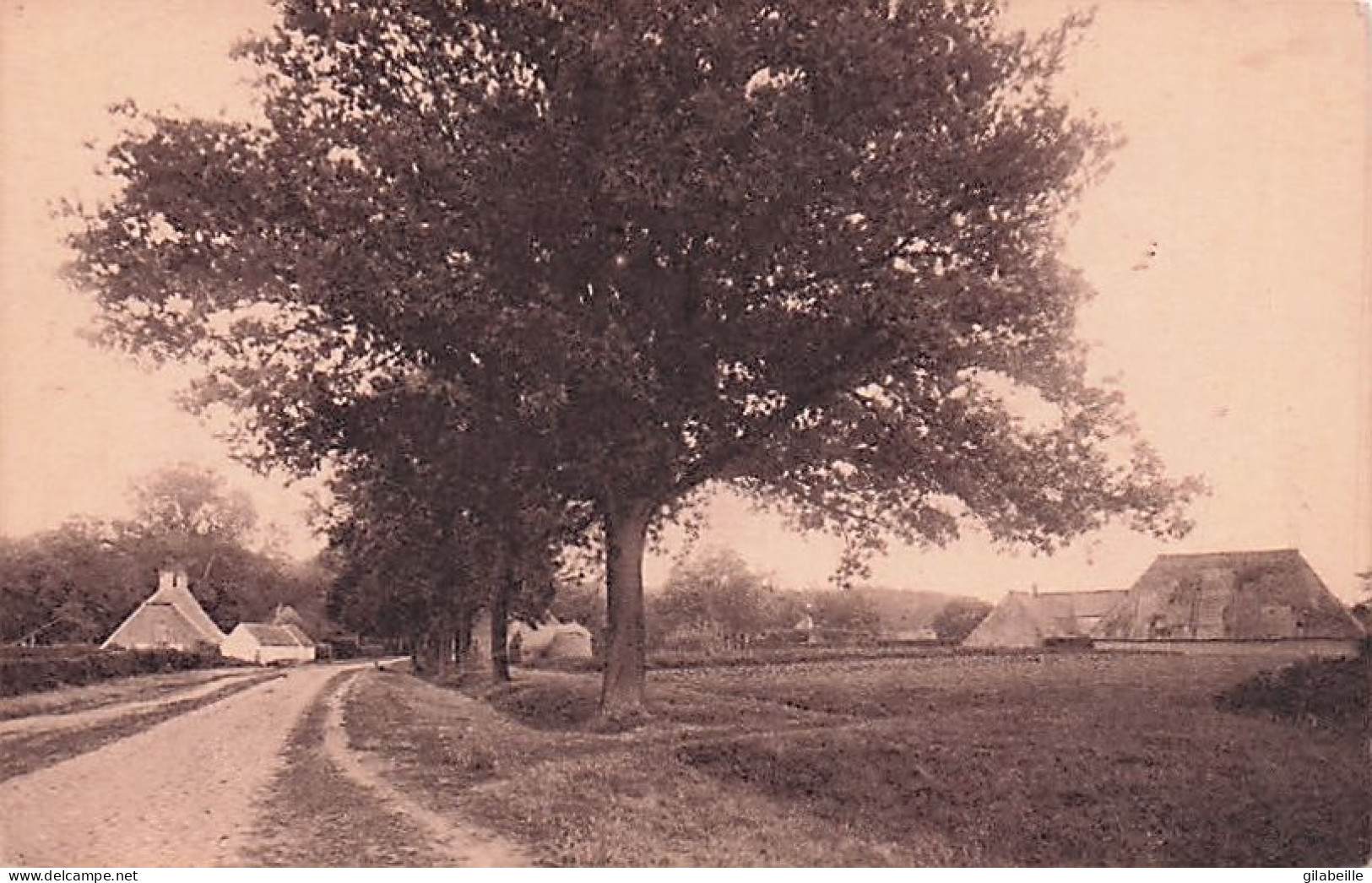 Schilde - 's-Gravenwezel -  Kattenberg - Schilde