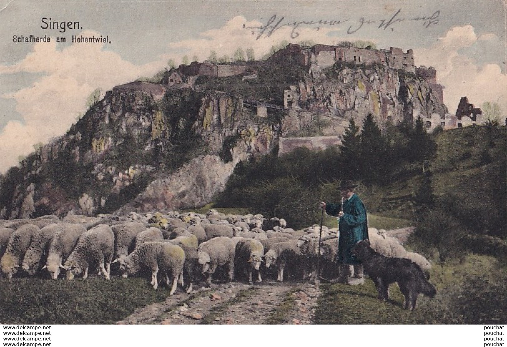 M13- SINGEN - SCHAFHERDE AM HOHENTWIEL - ANIMATION - BERGER AVEC TROUPEAU DE MOUTONS - COLORISEE - EN 1907 - ( 2 SCANS ) - Singen A. Hohentwiel