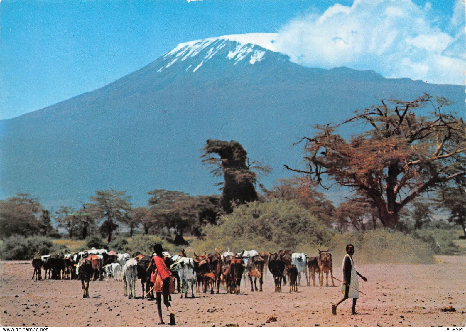 KENYA Masai Herdsmen Et Mt KILIMANJARO  34 (scan Recto Verso)KEVREN08VIC - Kenia