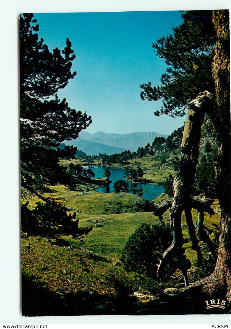  Chamrousse, Lac Achard (scan Recto-verso) KEVREN0012 - Chamrousse