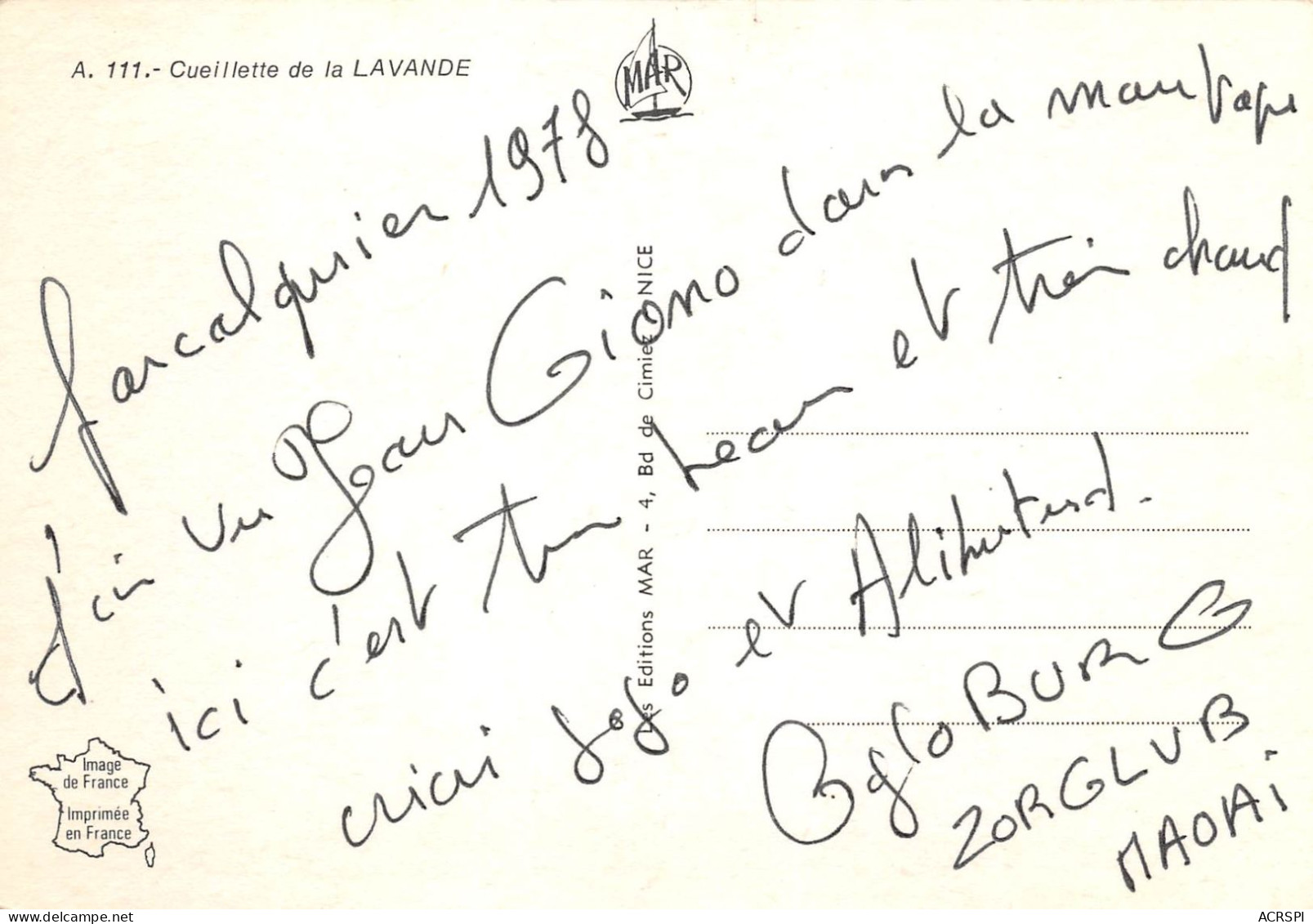 Forcalquier Cueillette De La Lavande  12 (scan Recto Verso)KEVREN73BIS - Forcalquier