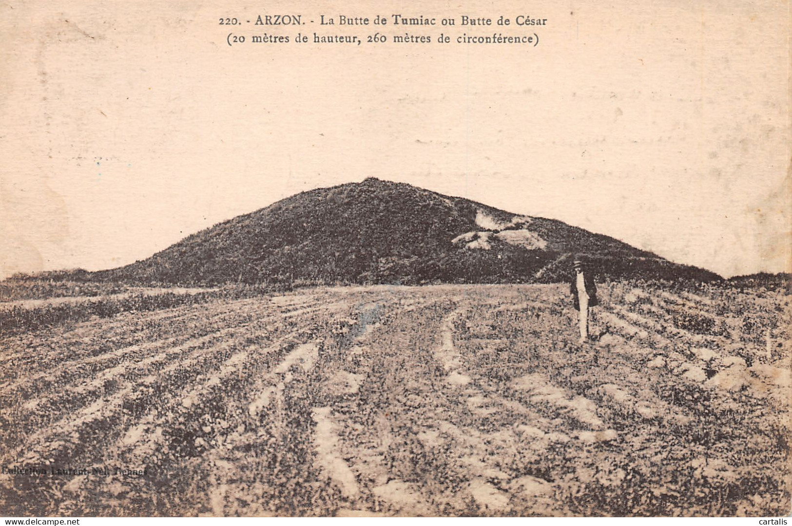 56-ARZON-N°C-3673-C/0177 - Arzon