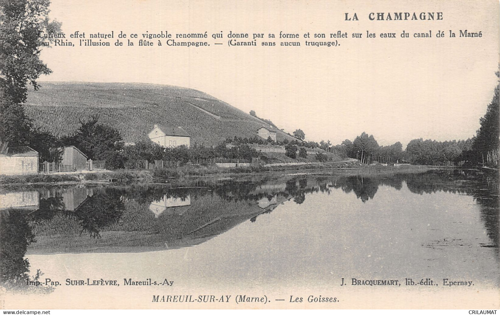 51-MAREUIL SUR AY-N°LP2994-E/0081 - Mareuil-sur-Ay