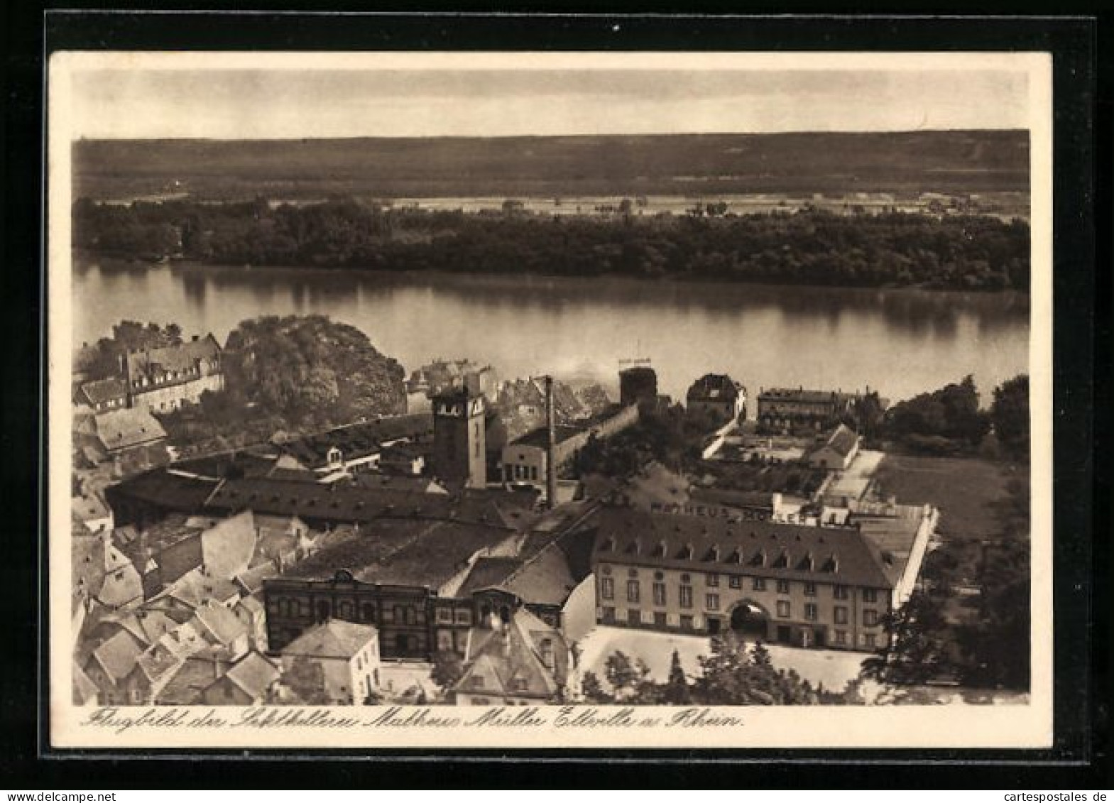 AK Eltville Am Rhein, Blick Auf Die Sektkellerei Matheus Müller, Fliegeraufnahme  - Eltville