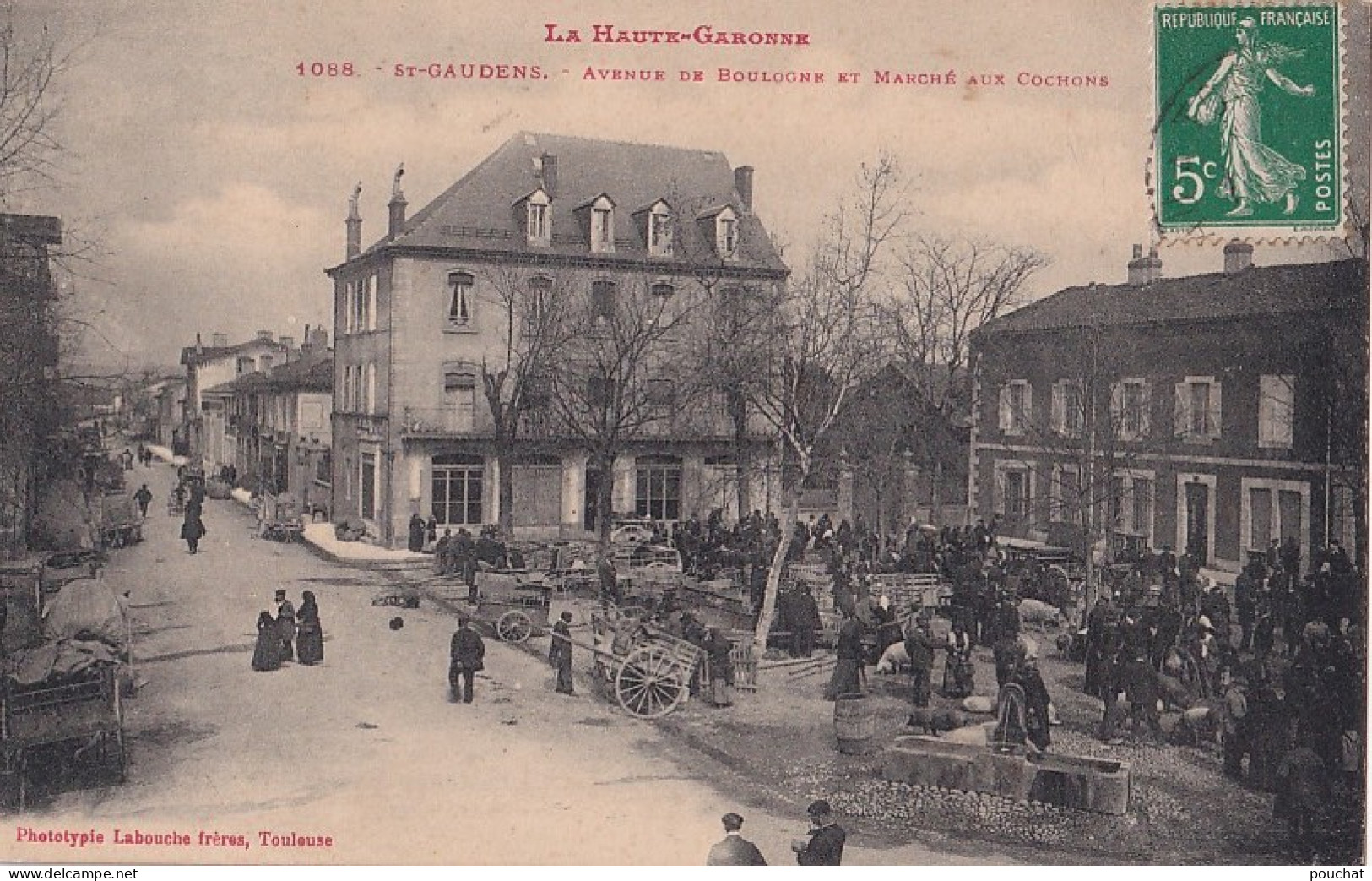A7-31) SAINT GAUDENS - HAUTE GARONNE - AVENUE DE BOULOGNE ET MARCHE AUX COCHONS - Saint Gaudens