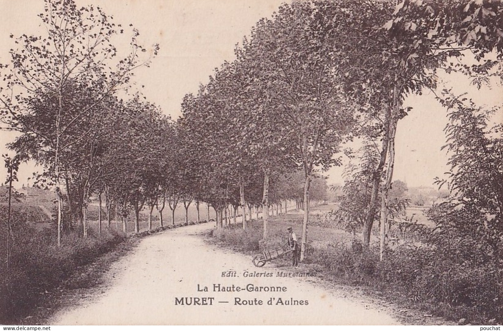 I23-31) MURET - HAUTE GARONNE -  ROUTE  D ' AULNES - ( 2 SCANS ) - Muret