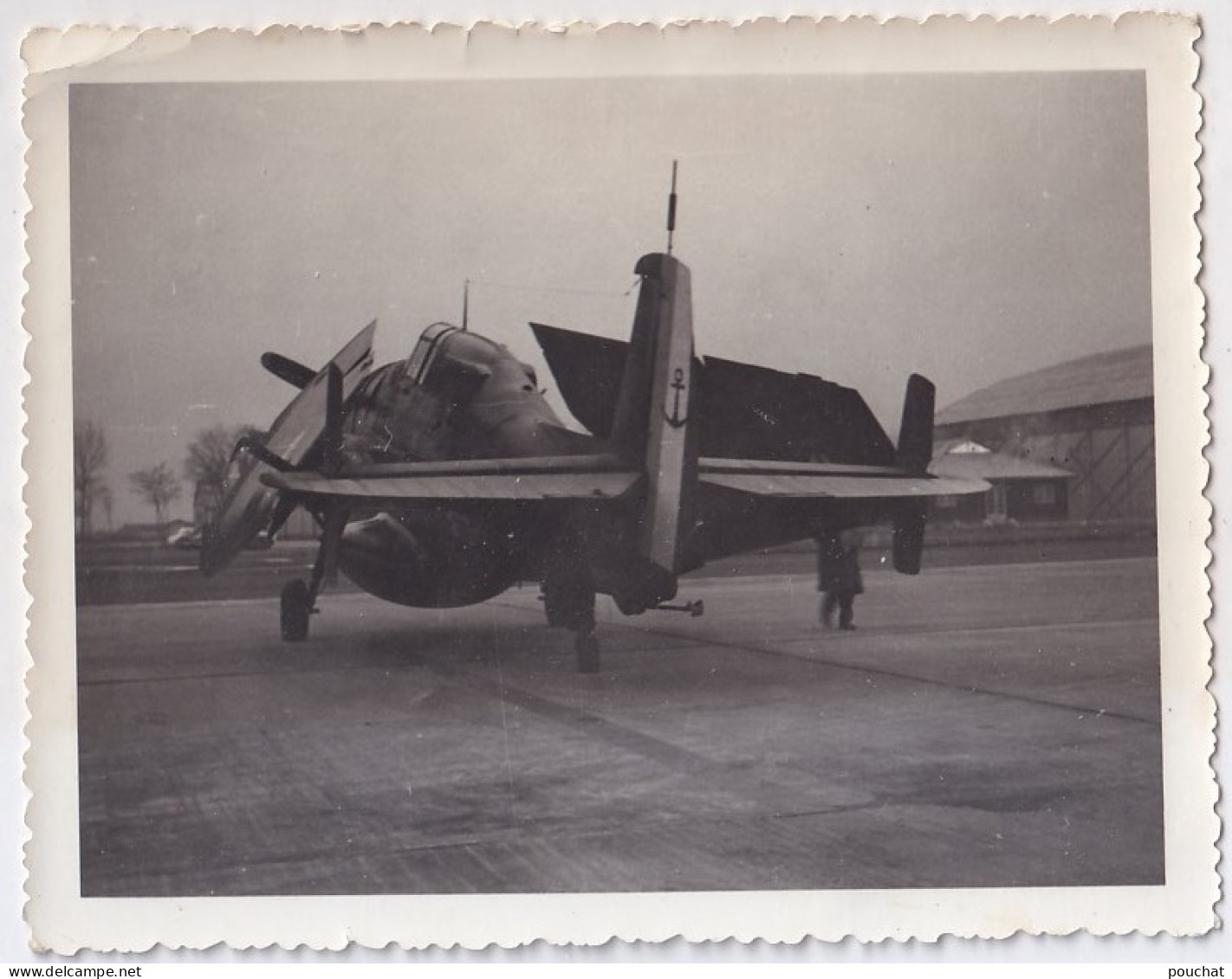 A1- PHOTO AUTHENTIQUE 13 X 10 - AVION DE L 'AERONAVALE FRANÇAISE DE TYPE : GRUMMAN TBF AVENGER   - 2 SCANS - 1939-1945: 2ème Guerre