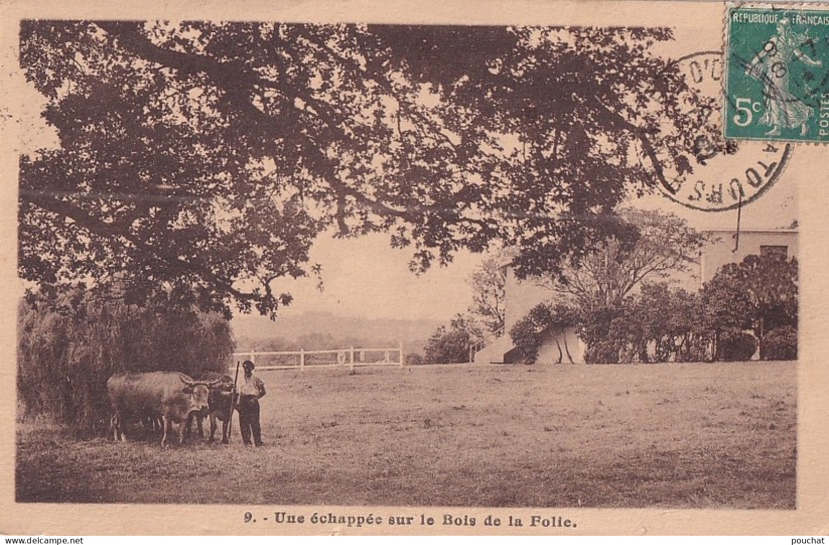 A14-85) POUZAUGES - VENDEE - UNE ECHAPPEE SUR LE BOIS DE LA FOLIE - PAYSAN AVEC BOEUFS - EN  1932 - Pouzauges