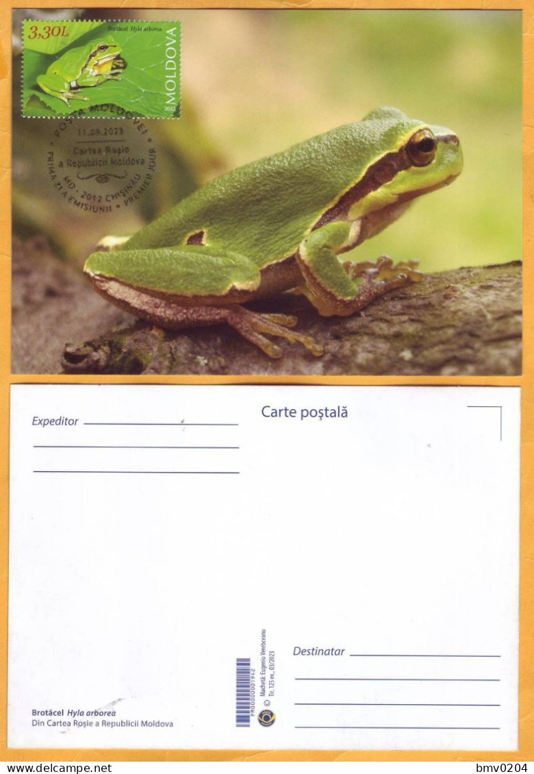 2023  Moldova MAXICARD Fauna, Nature „Red Book Of Republic Of Moldova. Reptiles And Batrachians.” 3,30 - Ranas