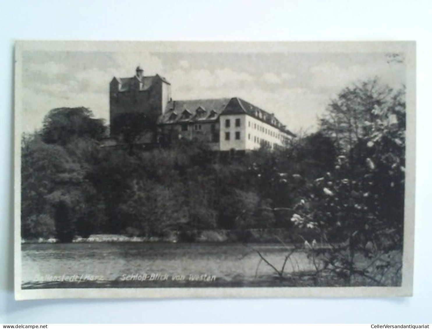 Postkarte: Ballenstedt / Harz. Schloß Blick Von Westen Von Ballenstedt (Harz) - Non Classés