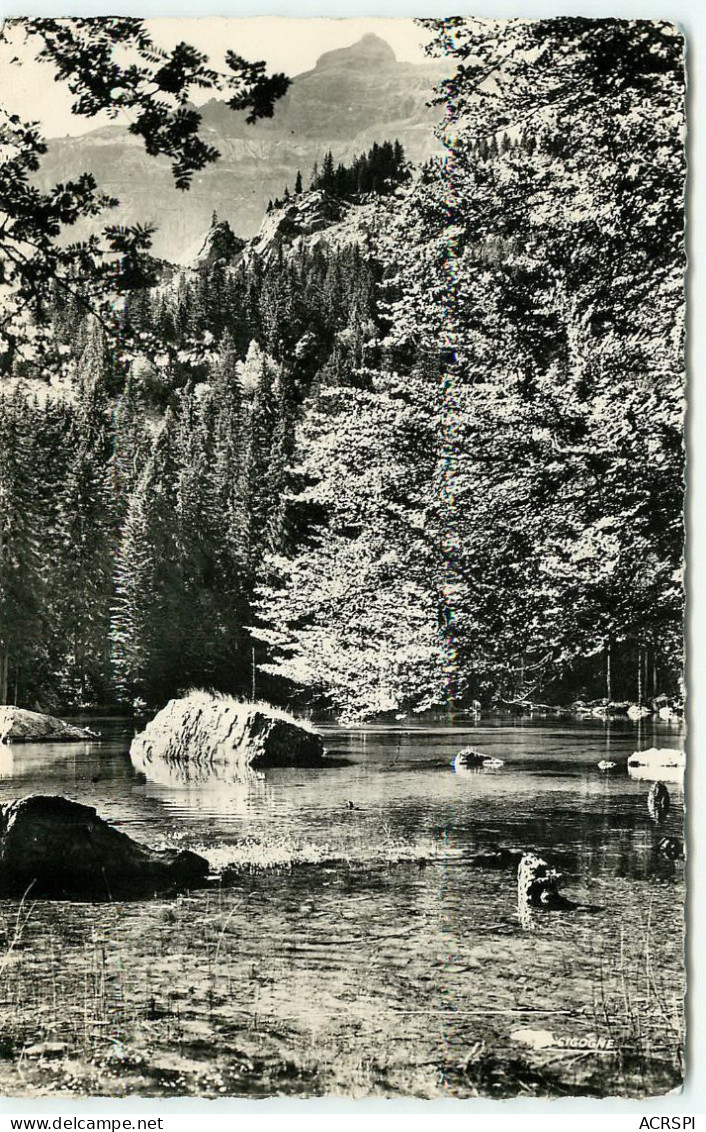Passy, Le Lac Vert (scan Recto-verso) KEVREN0100 - Passy