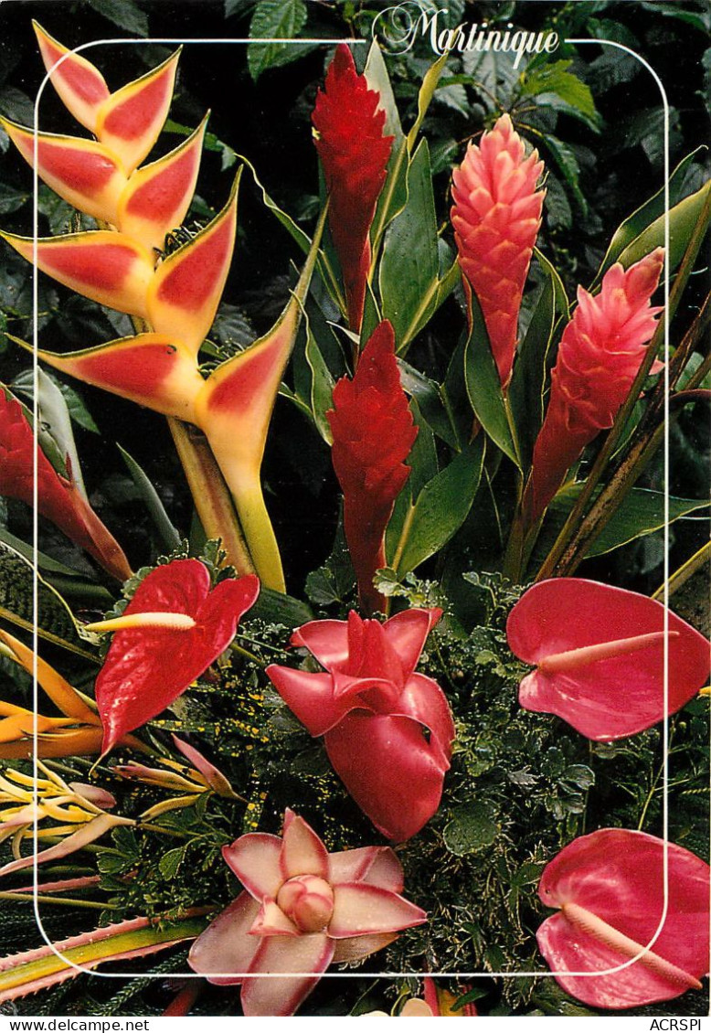 Martinique  FORT DE FRANCE 75 Bouquet Tropical Ed Grand Sud (scan Recto-verso) KEVREN0168 - Fort De France