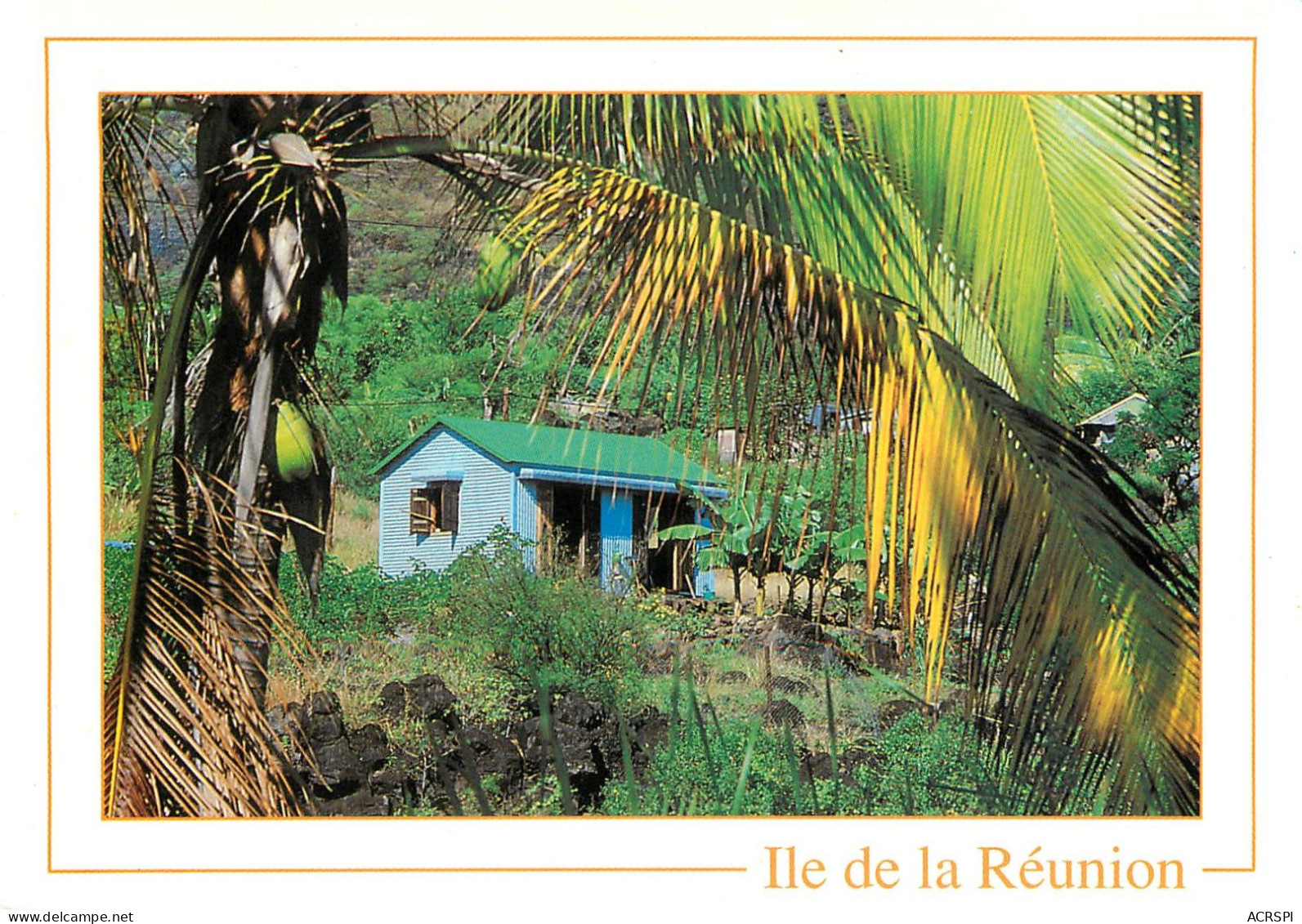 REUNION ST PAUL Cabane Palmier Jungle (scan Recto-verso) KEVREN0184 - Saint Paul