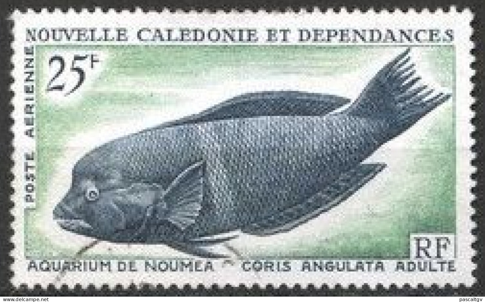 Nouvelle Calédonie - 1965 - PA N°83 Oblitéré - Gebruikt