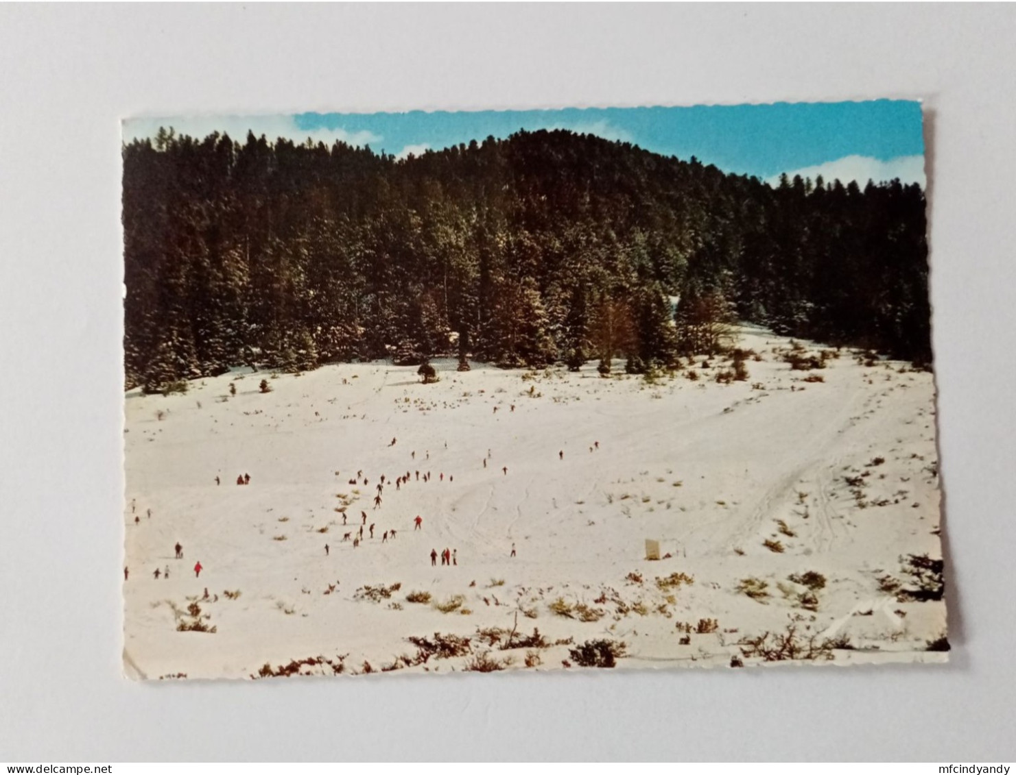 Carte Postale - Payolle (65) - Route Du Col D'Aspin, Pistes Et Forêt    (2Lpbxg) - Campan