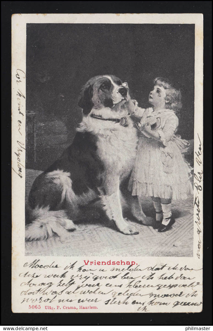 Foto AK Mädchen Im Ballkleid Tröstet Ihren Hund "Vriendschap" KROMMENIE  03.1902 - Autres & Non Classés