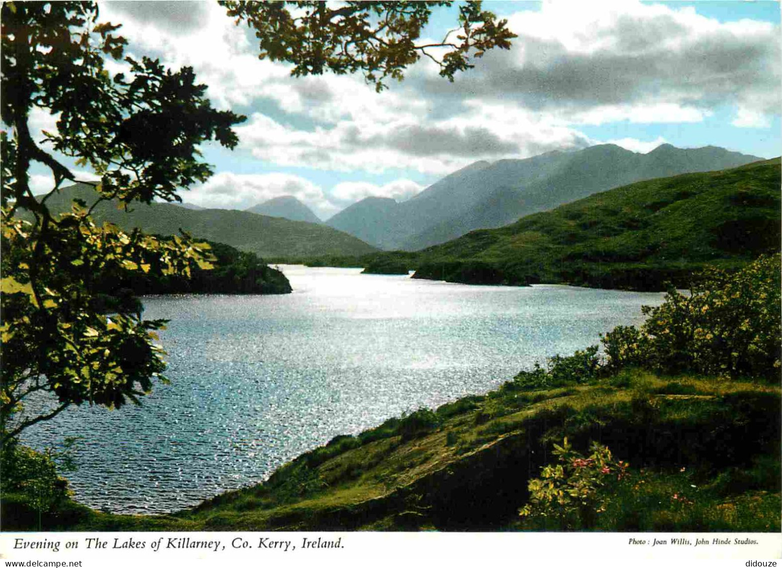 Irlande - Kerry - Killarney - Evening On The Lakes Of Killarney - CPM - Voir Scans Recto-Verso - Kerry