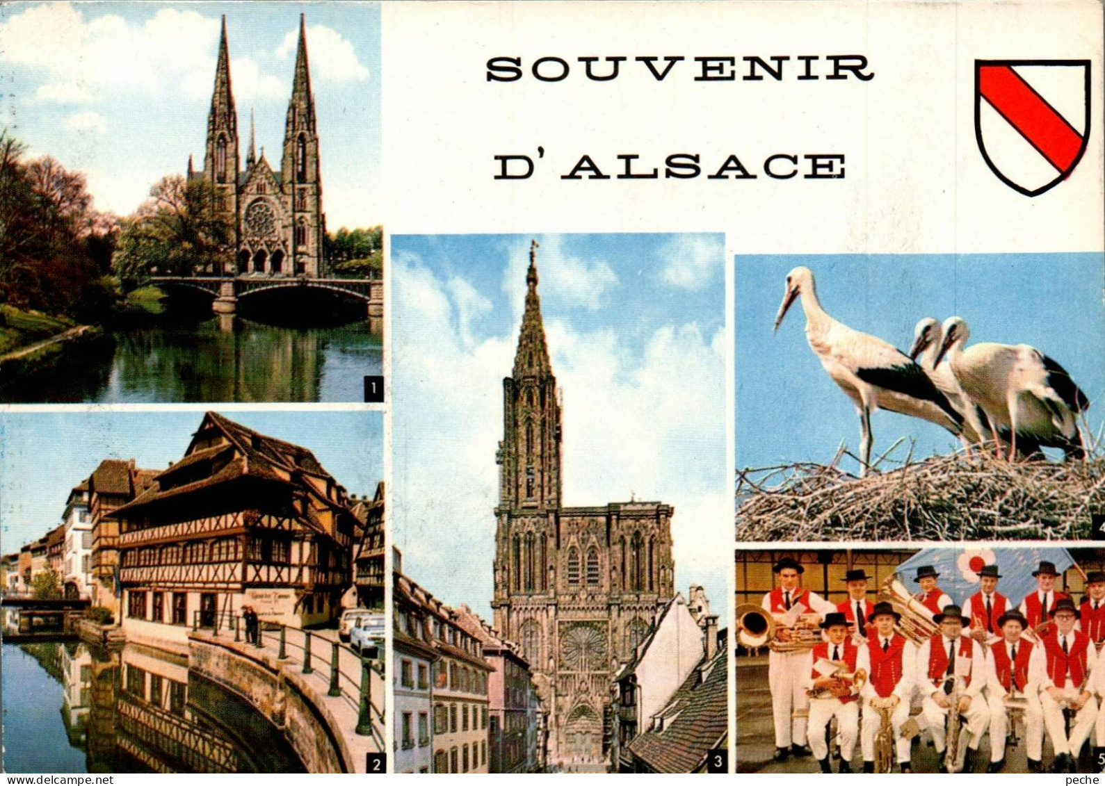 N°482 Z -cpsm Souvenir D'Alsace - Saluti Da.../ Gruss Aus...