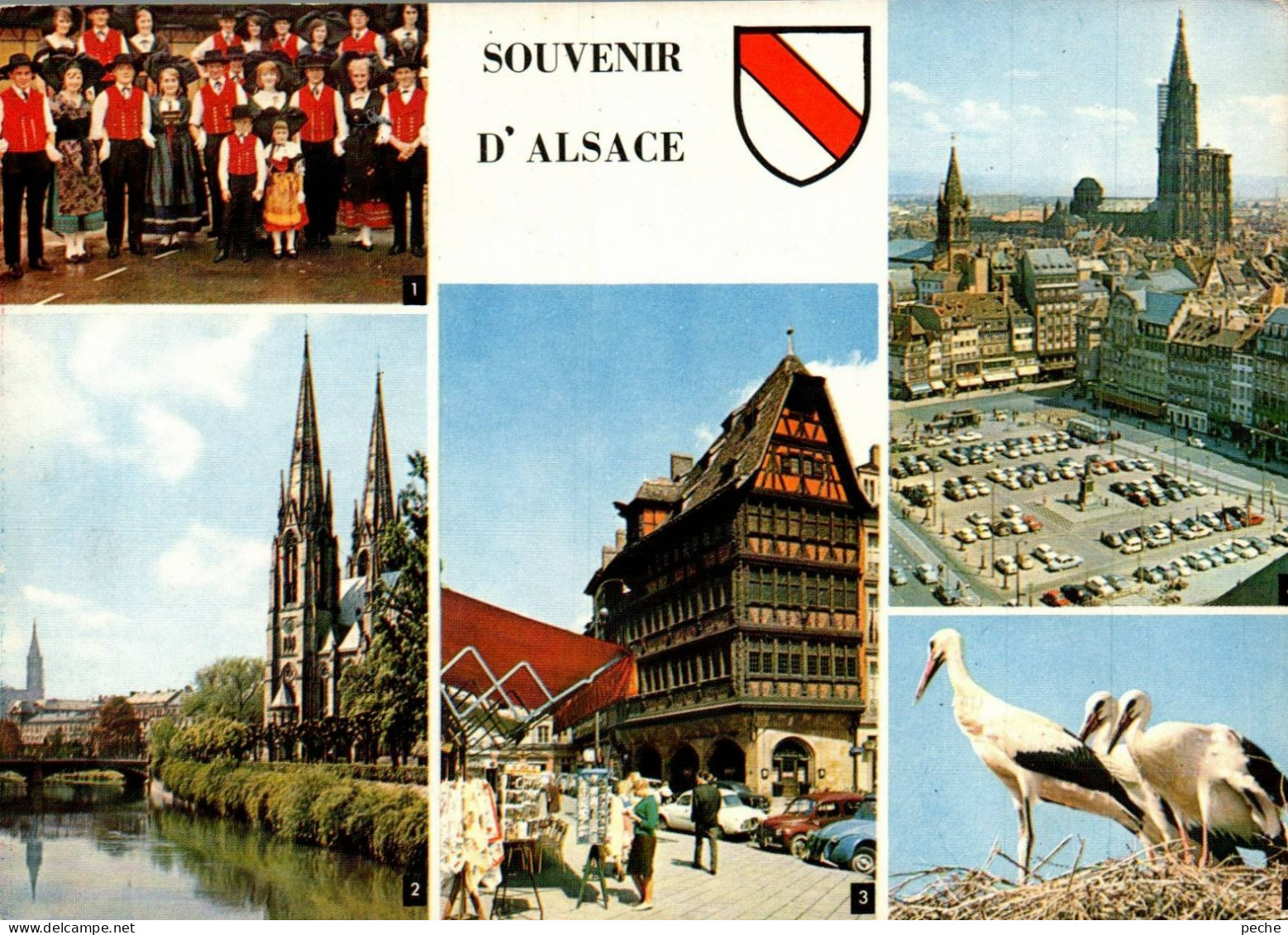 N°483 Z -cpsm Souvenir D'Alsace - Saluti Da.../ Gruss Aus...