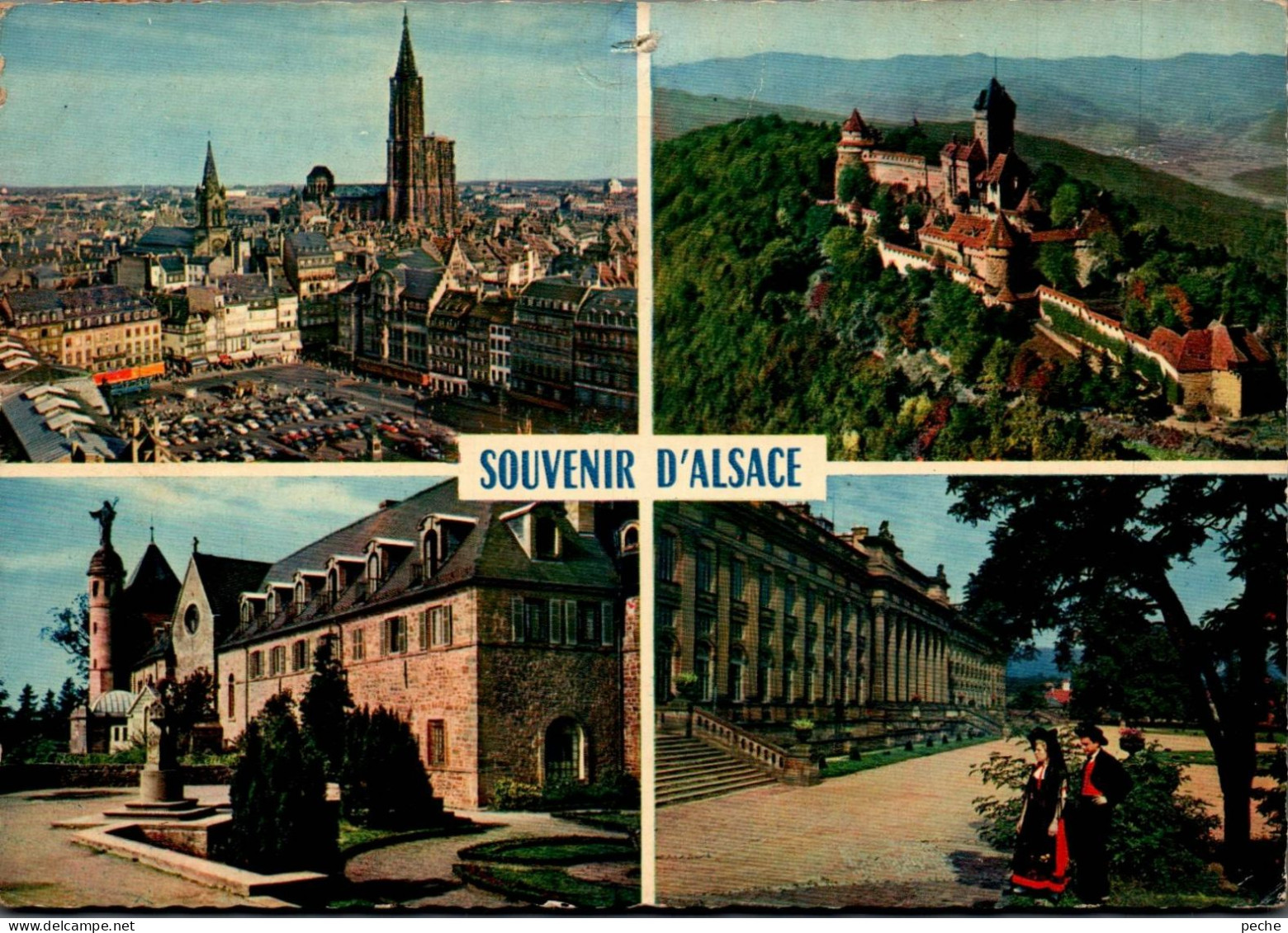 N°485 Z -cpsm Souvenir D'Alsace - Greetings From...