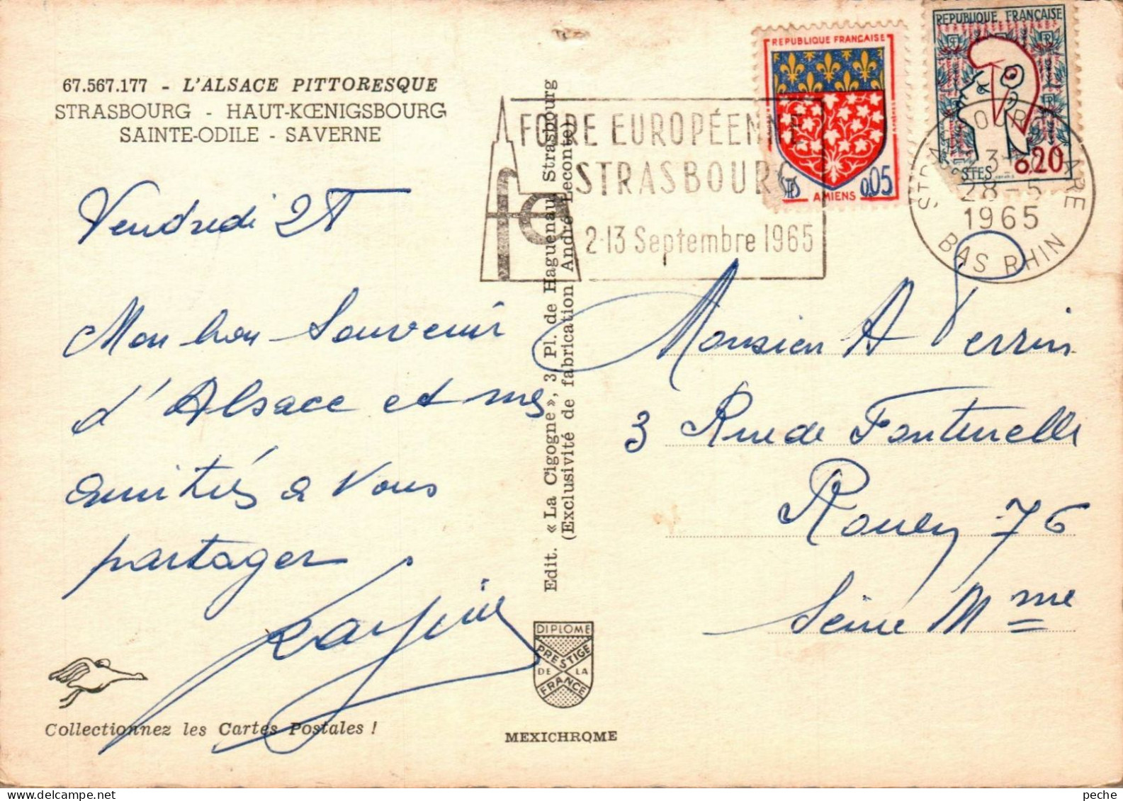 N°485 Z -cpsm Souvenir D'Alsace - Greetings From...