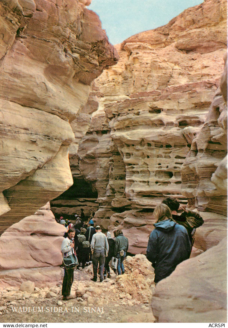 Wadi-um-Sidra In Sinai (scan Recto-verso) KEVREN0252 - Israele