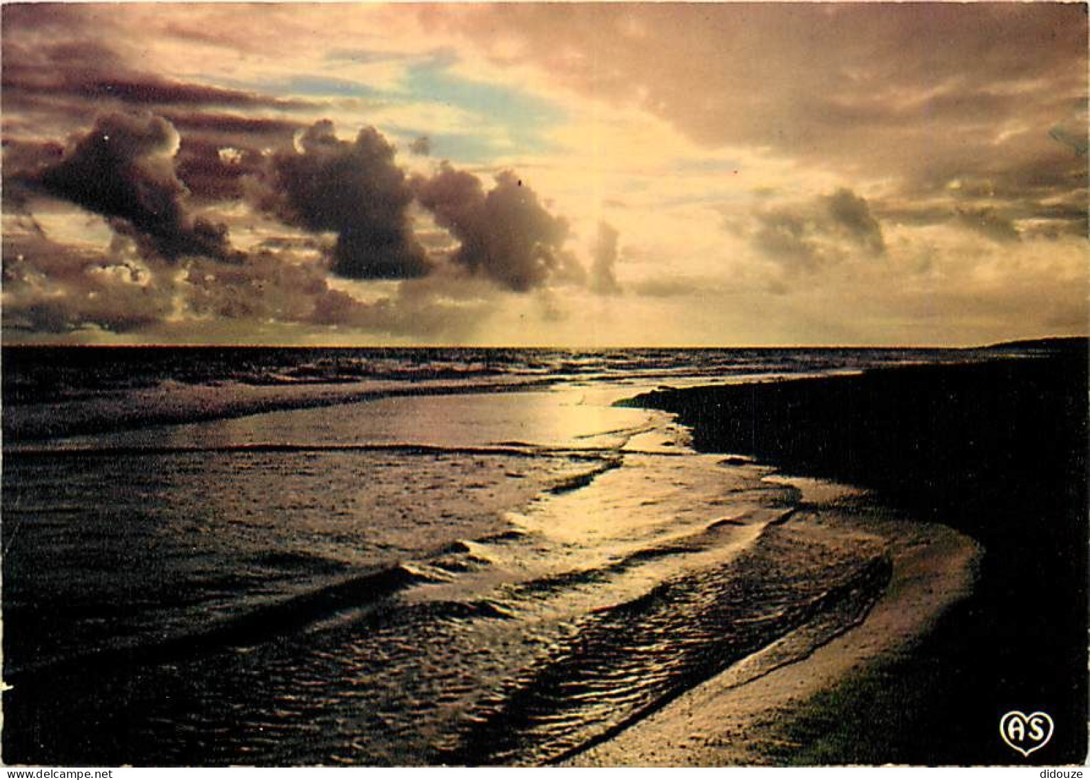 Coucher De Soleil - CPM - Voir Scans Recto-Verso - Hold To Light