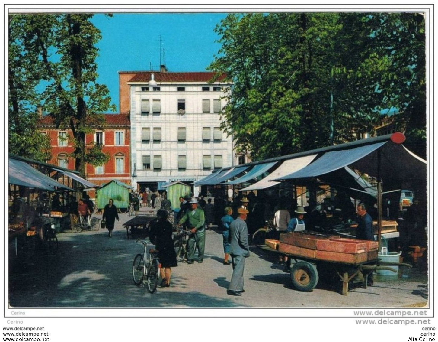 TREVISO:  PESCHERIA  -  FG - Markets