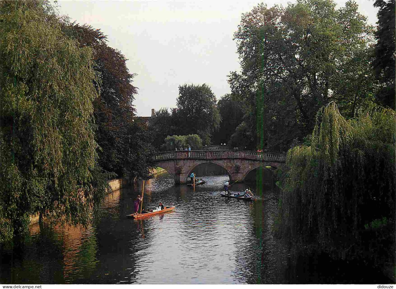 Angleterre - Cambridge - Punting On The River Cam Near Clare Bridge - Cambridgeshire - England - Royaume Uni - UK - Unit - Cambridge