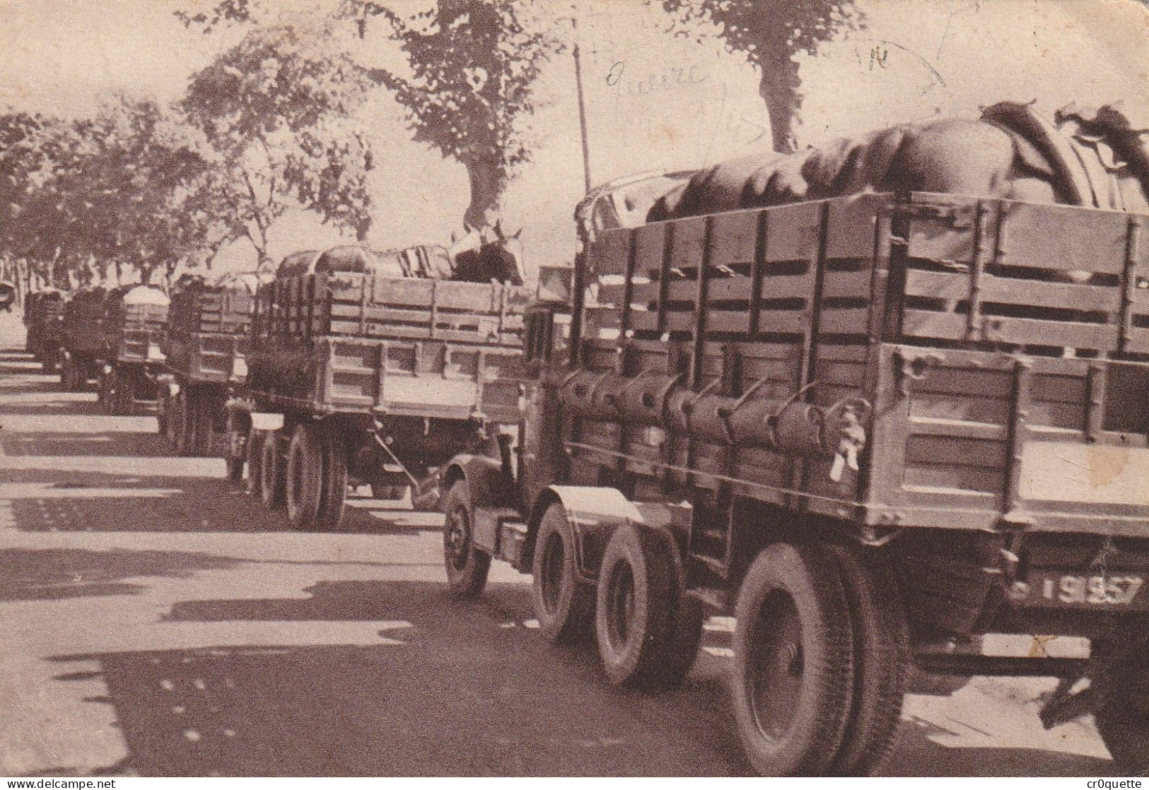 # THEME - MILITARIA / GUERRE 39/45 - TRANSPORT De CHEVAUX - Manovre