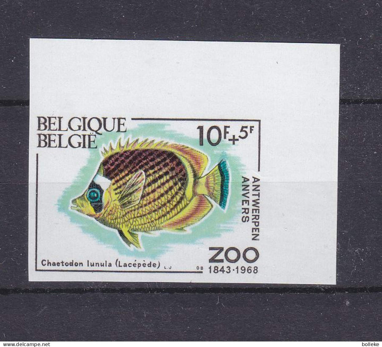 Belgique - COB 1473  - NON Dentelé - Tirage 13 Timbres Coin De Feuille Supérieur Droit - Tirage Total = 370 -poissons - - 1961-1980