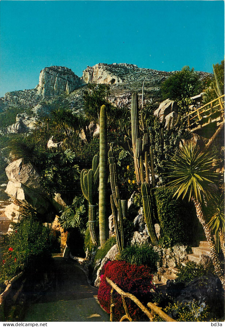  MONACO  JARDIN EXOTIQUE - Exotic Garden