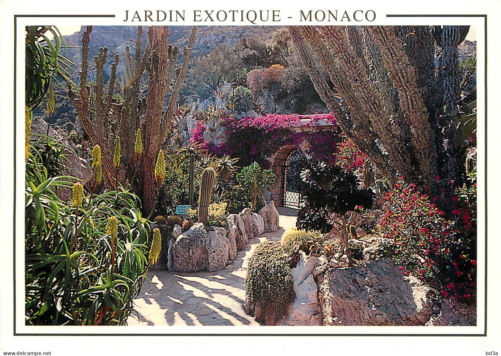  MONACO  JARDIN EXOTIQUE - Exotischer Garten