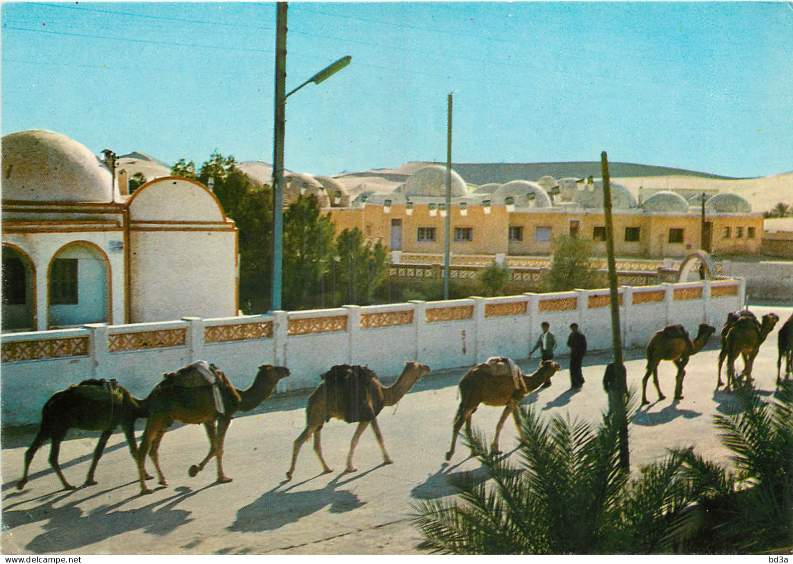 ALGERIE  EL OUED  - El-Oued