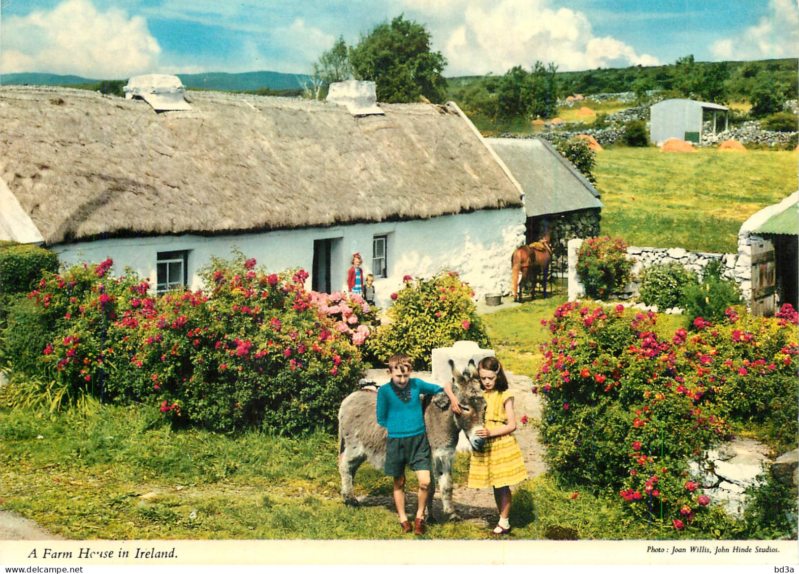 A FARM HOUSE IN IRELAND  - Altri & Non Classificati