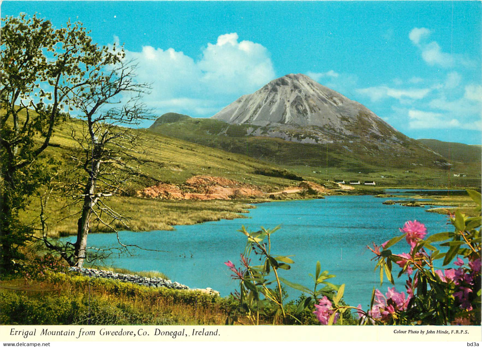 IRELAND ERRIGAL MOUNTAIN FROM GWEEDORE DONEGAL - Other & Unclassified