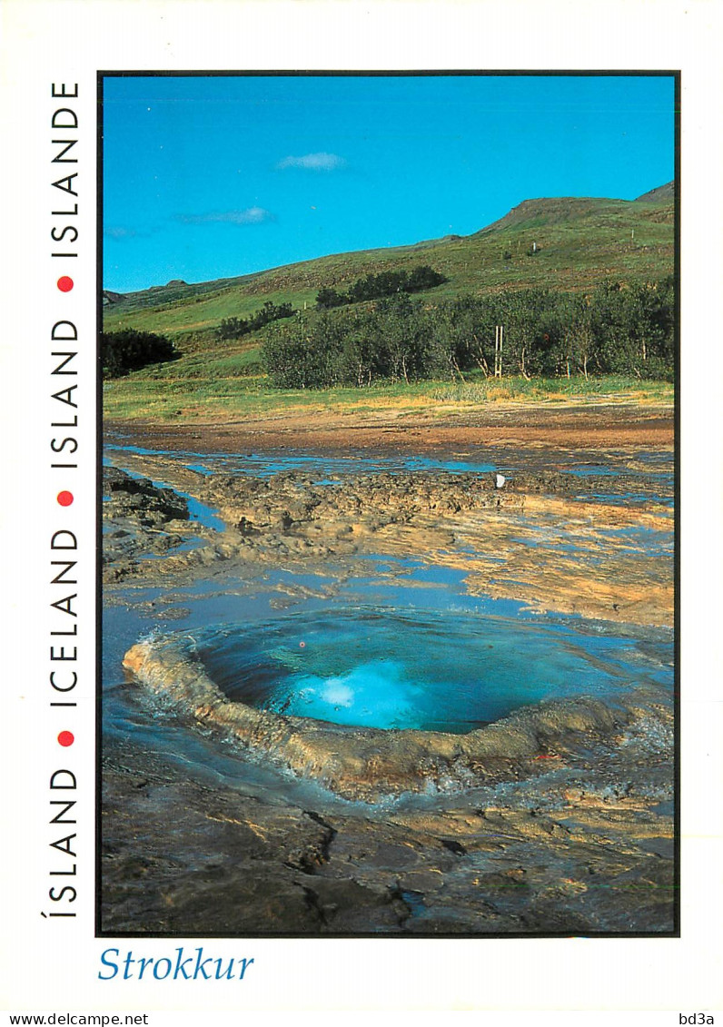 ISLAND STROKKUR - Islande