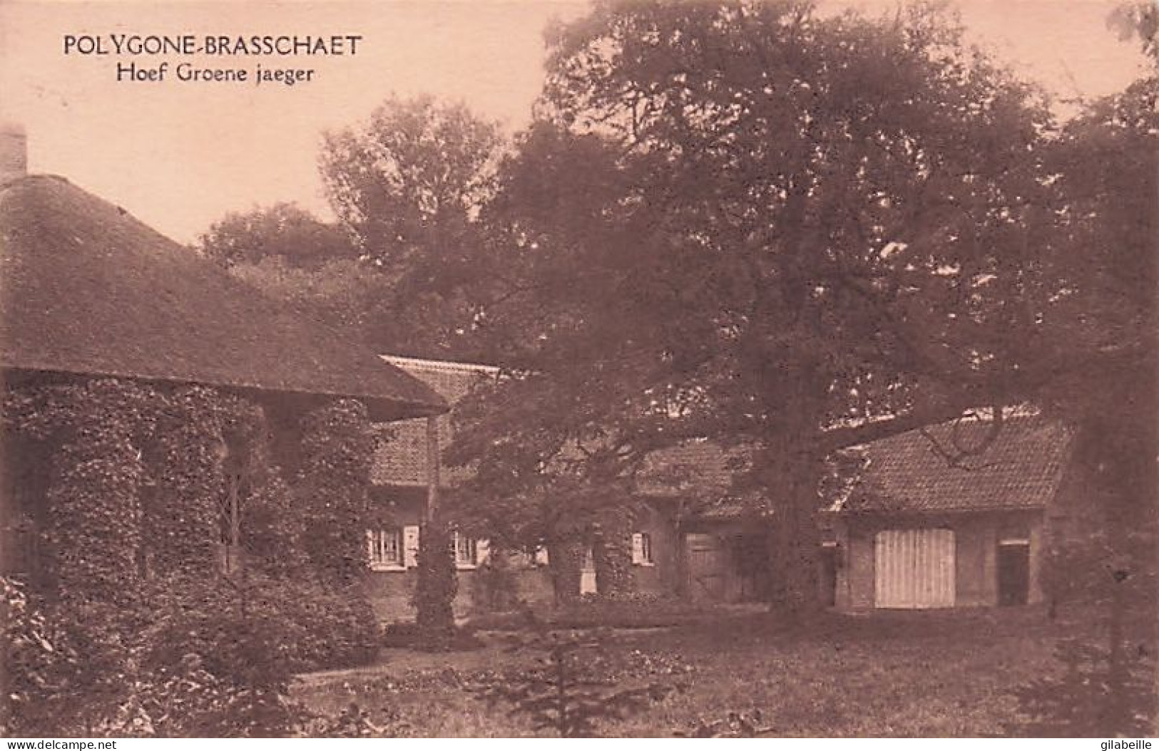 Anvers - BRASSCHAET -  BRASSCHAAT - POLYGONE - Hoef Groene Jaeger - Brasschaat