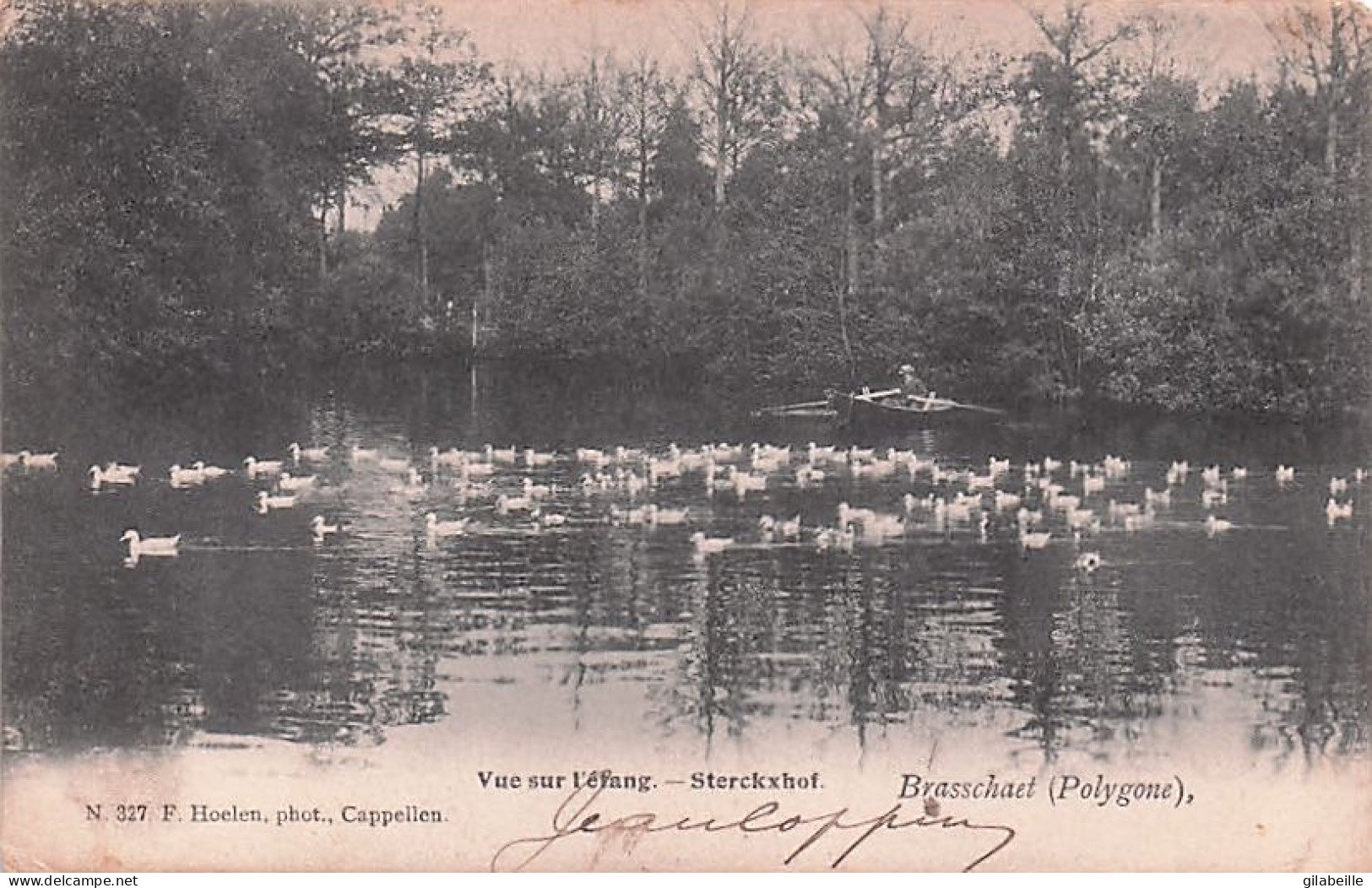 Anvers - BRASSCHAET -  BRASSCHAAT - POLYGONE - Sterckxhof - Vue Sur L'étang - 1907 - Brasschaat