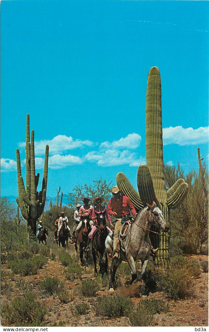 ETATS UNIS USA  ARIZONA TANQUE VERDE RANCH  - Altri & Non Classificati