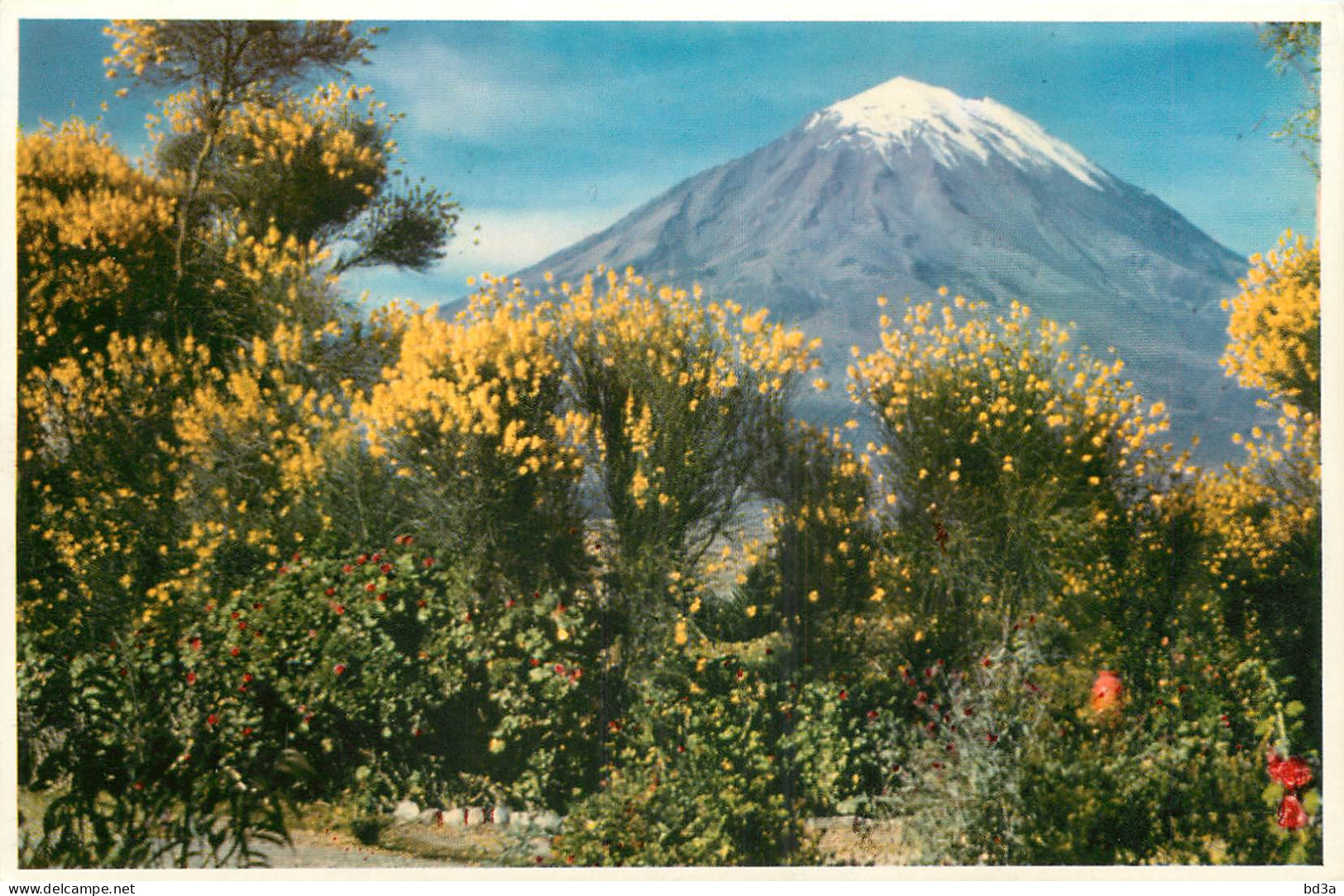 PEROU PERU VOLCAN MISTI - Peru