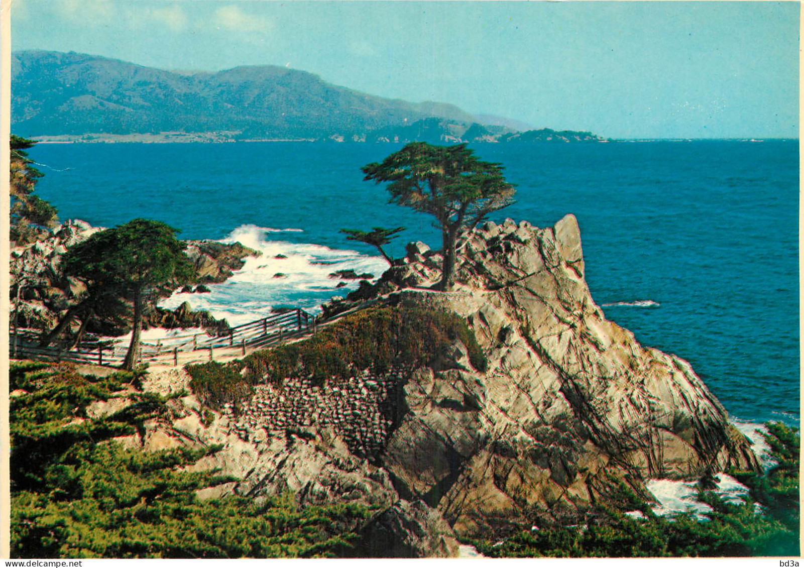  ETATS UNIS USA CALIFORNIA THE LONE CYPRESS - Altri & Non Classificati