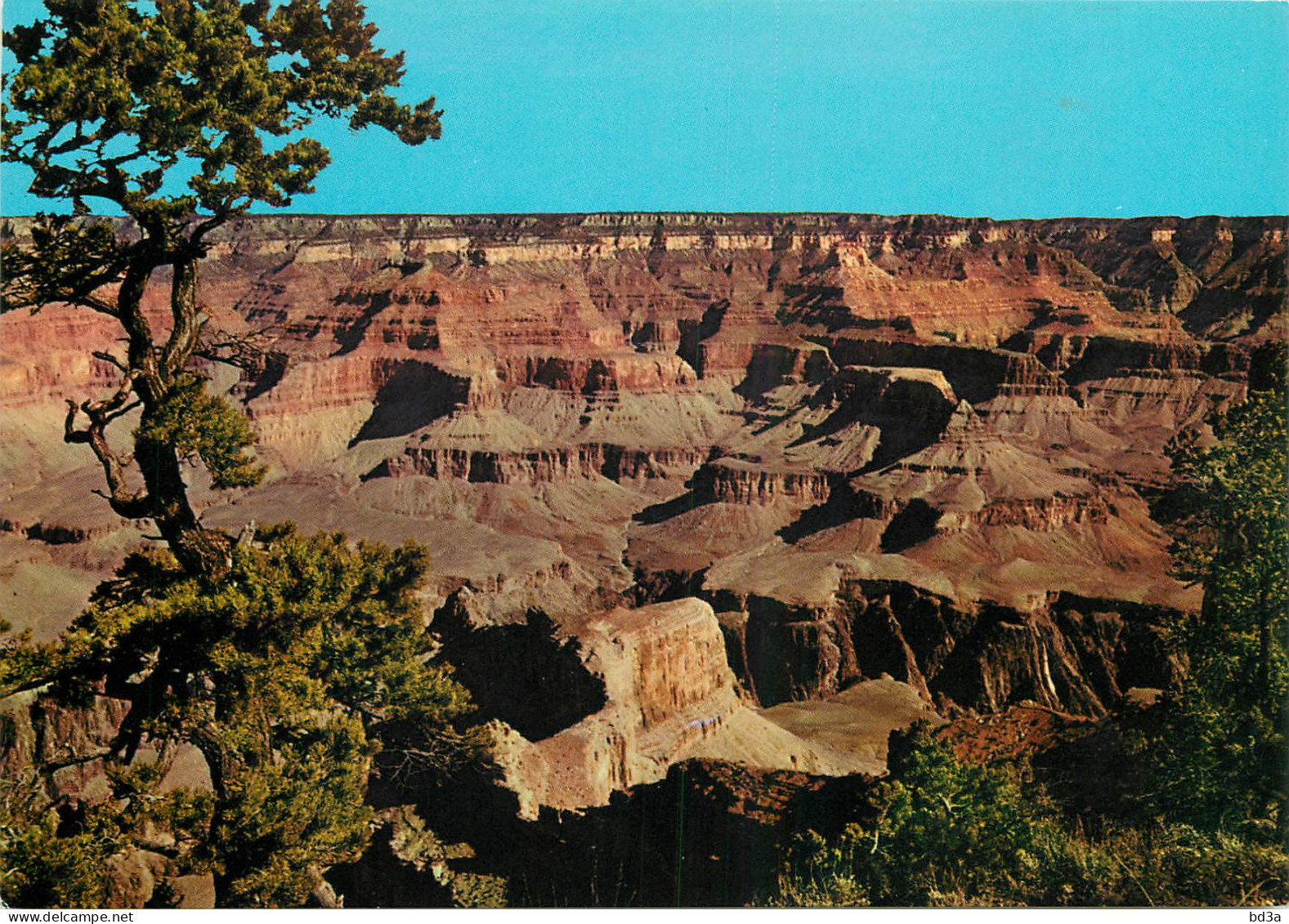 ETATS UNIS USA ARIZONA GRAND CANYON - Otros & Sin Clasificación