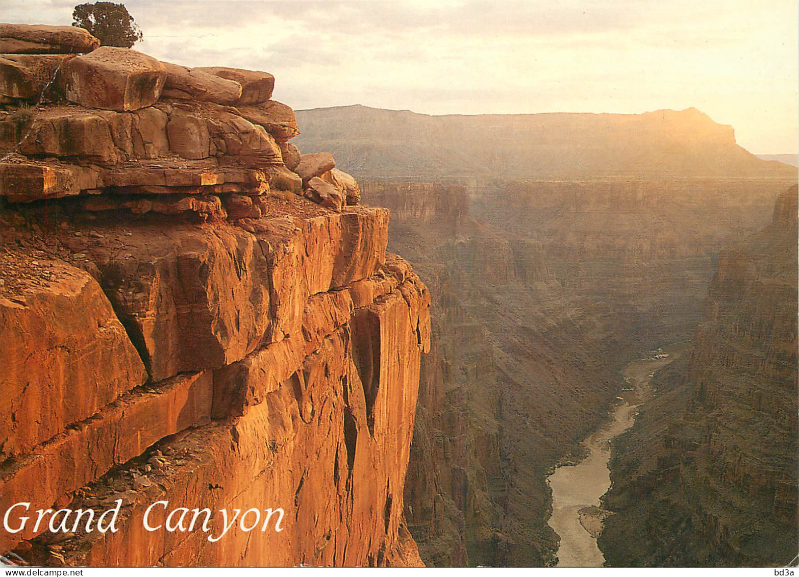 ETATS UNIS USA ARIZONA GRAND CANYON - Andere & Zonder Classificatie