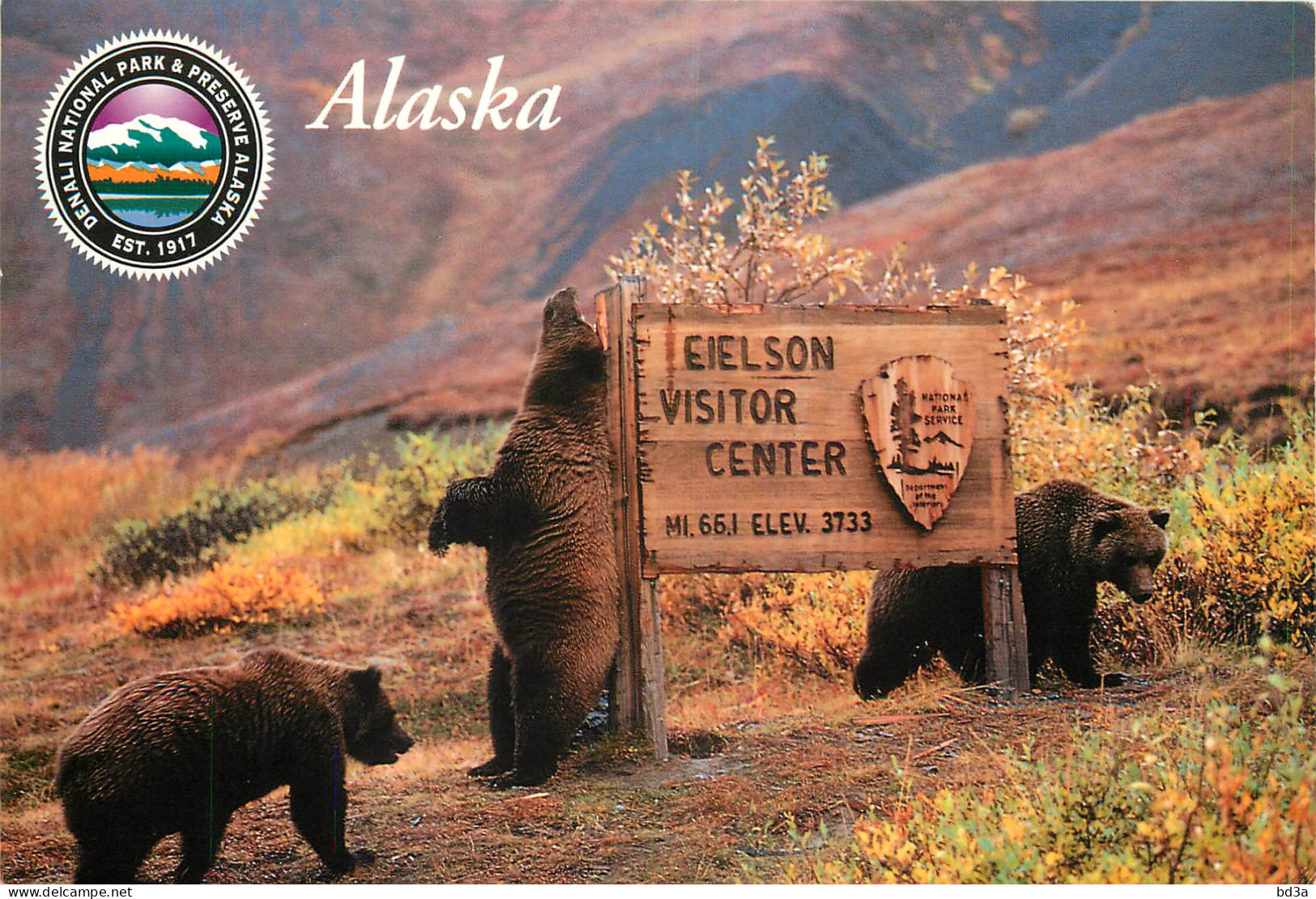 ETATS UNIS USA ALASKA OURS BEAR - Altri & Non Classificati