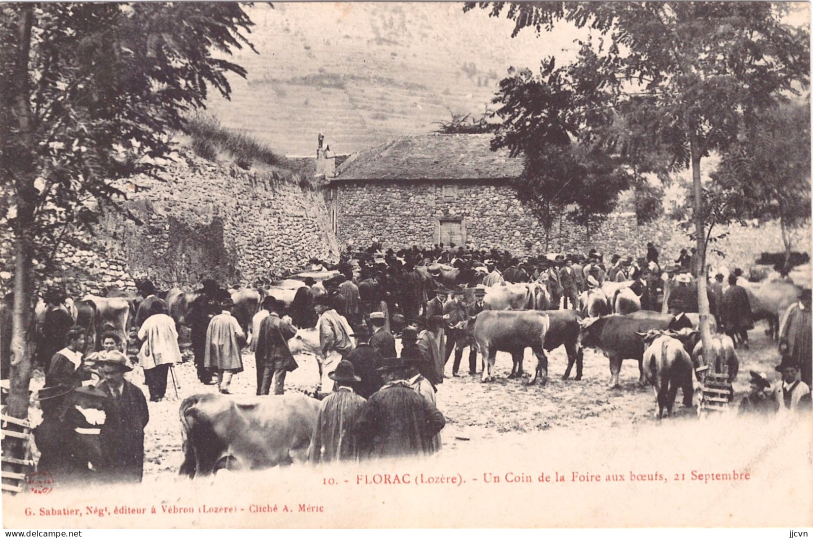 *48* - Lozère - Florac - Un Coin De La Foire Aux Boeufs - 21 Septembre (Très Rare Et Inédite) - Florac